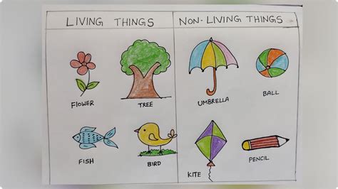 draw living things and non-living things|Ms. Taylor's Magic School Bus Blog: How do living and non.